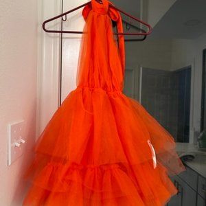 American Threads Beatrice Backless Halter Babydoll Mini Dress